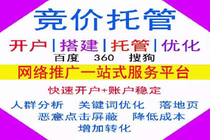 SEM运营推广策略：成功案例解析